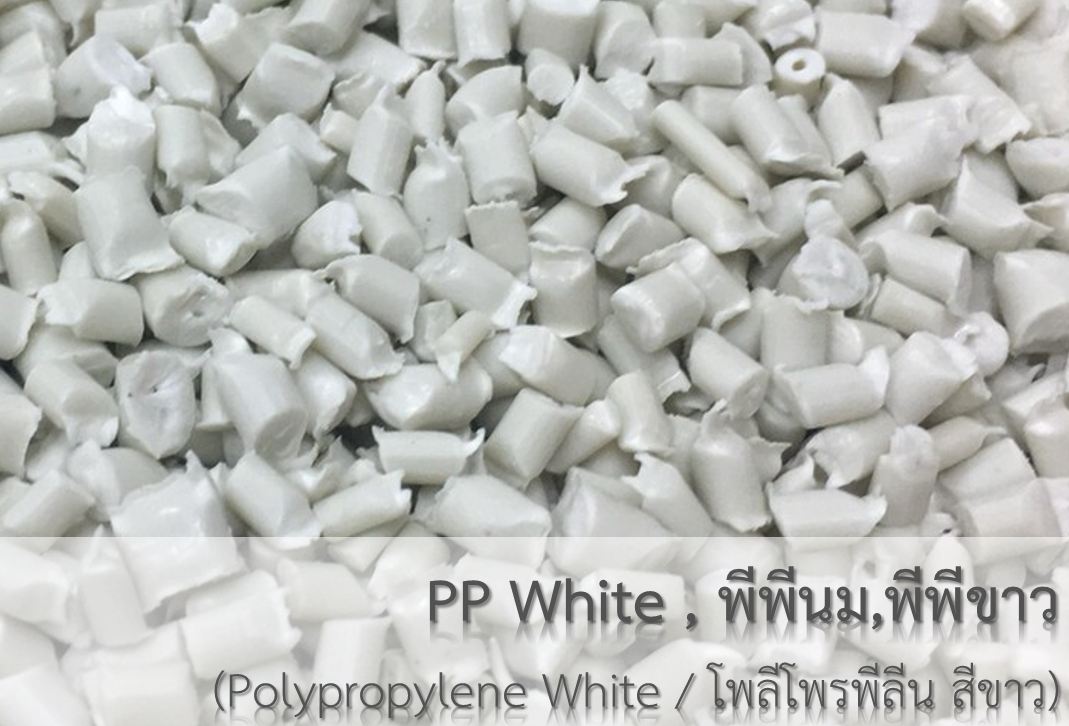 PP White , พีพีนม , พีพีขาว